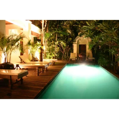 Innovation Swim-Spa - Mix aus Whirl- und Swimmingpool - Innovation Swim-Spa - Mix aus Whirl- und Swimmingpool
