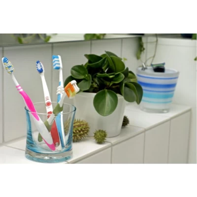 Pflanzen fürs Bad: Frisches Grün für die Wellnessoase - Pflanzen fürs Bad: Frisches Grün für die Wellnessoase