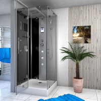 Steam shower shower temple sauna shower shower enclosure d38-03l2 80x80 cm