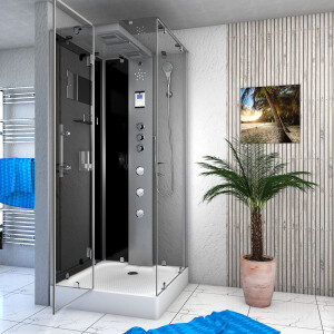 Steam shower shower enclosure d38-23l3 sw 100x100