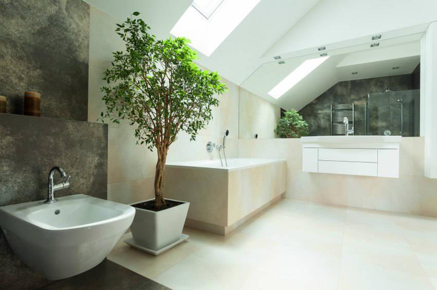 Kleiner Baum im Badezimmer